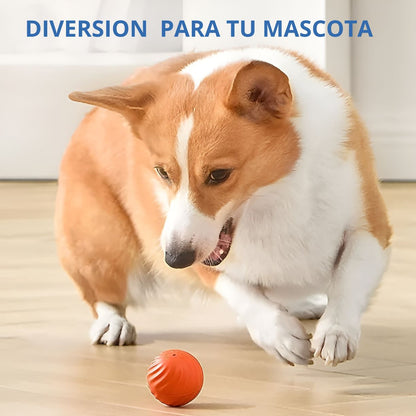 Dog Ball© -  Bola de juguete para perros inteligente