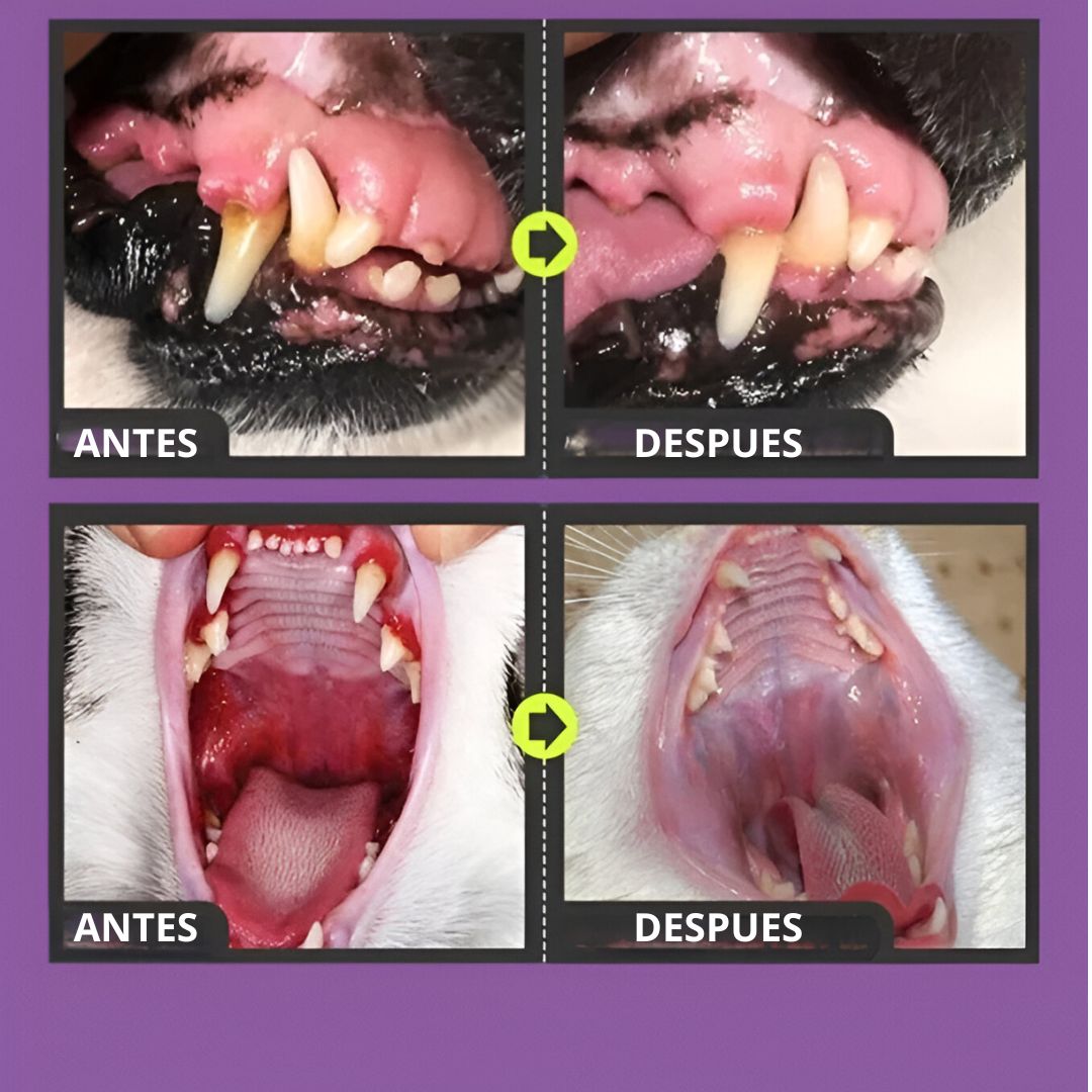 Pets Teeth© - Limpiador de dientes para mascotas